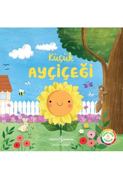 Küçük Ayçiçeği