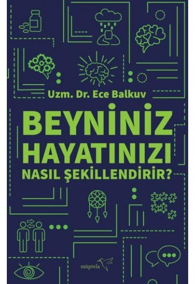 Beyniniz Hayatınızı Nasıl Şekillendirir?