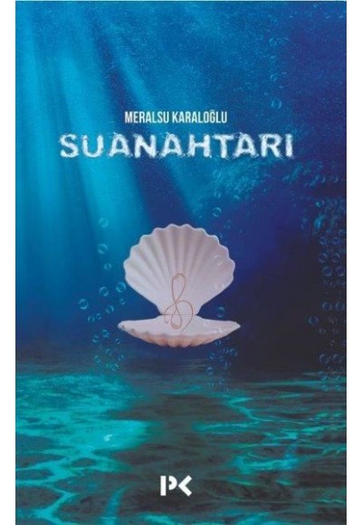 Su Anahtarı
