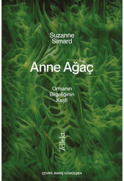 Anne Ağaç