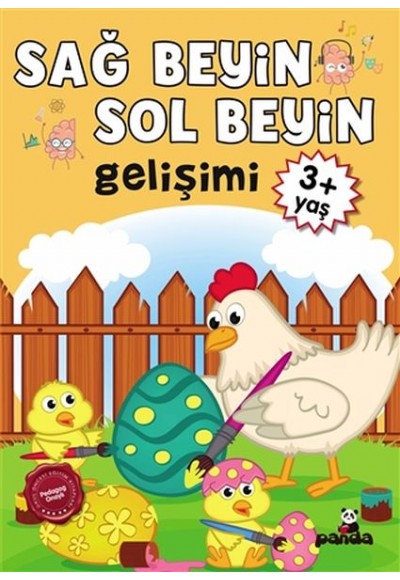 3 Yaş Sağ Beyin-Sol Beyin Gelişimi