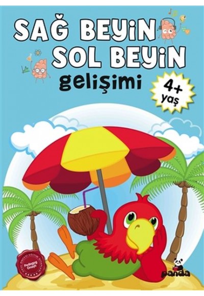 Sağ Beyin-Sol Beyin Gelişimi 4+ Yaş    
