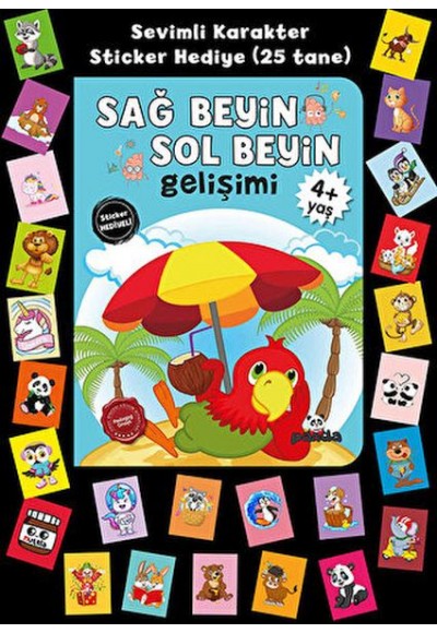 Stickerlı 4+ Yaş Sağ Beyin Sol Beyin Gelişim