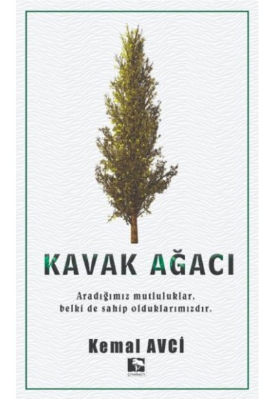 Kavak Ağacı