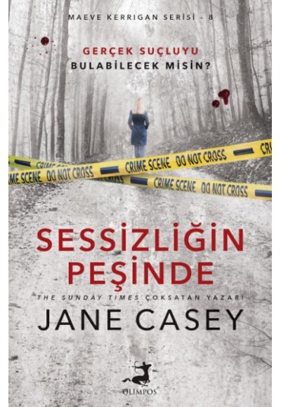 Sessizliğin Peşinde