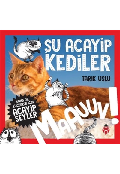 Daha Küçükler İçin Şu Acayip Kediler