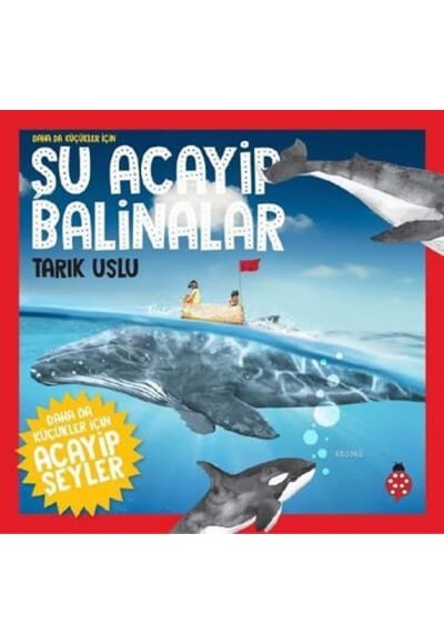 Daha Küçükler İçin Şu Acayip Balinalar