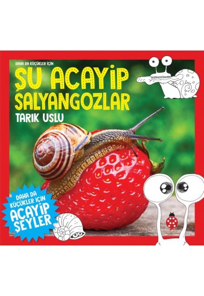 Daha Küçükler İçin Şu Acayip Salyangozlar