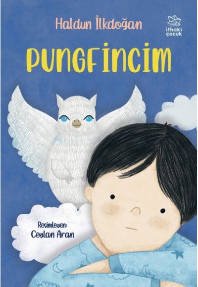 Pungfincim