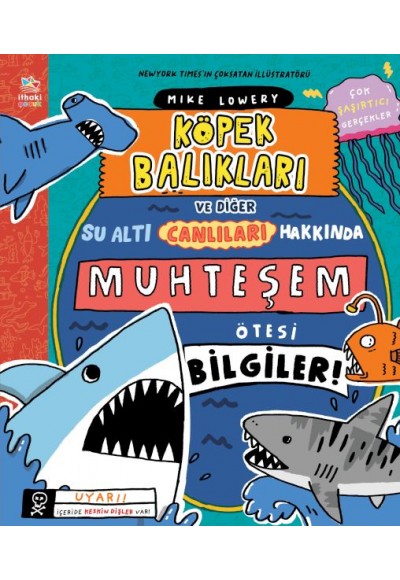 Köpek Balıkları ve Diğer Su Altı Canlıları Hakkında Muhteşem Ötesi Bilgiler!
