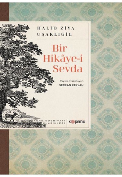 Bir Hikâye-i Sevda