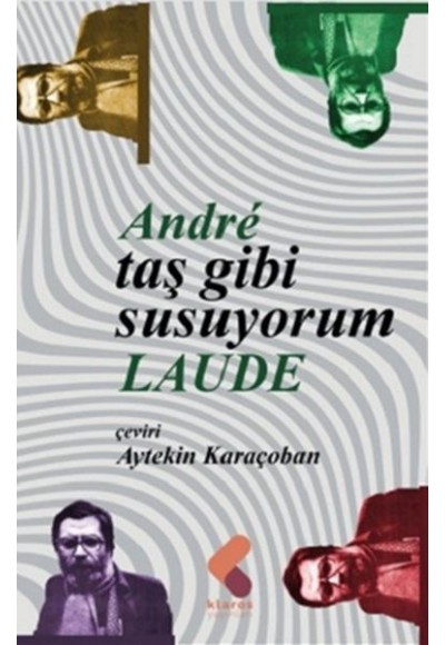 Taş Gibi Susuyorum