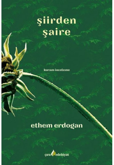 Şiirden Şaire