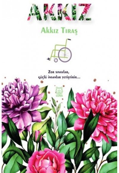 Akkız
