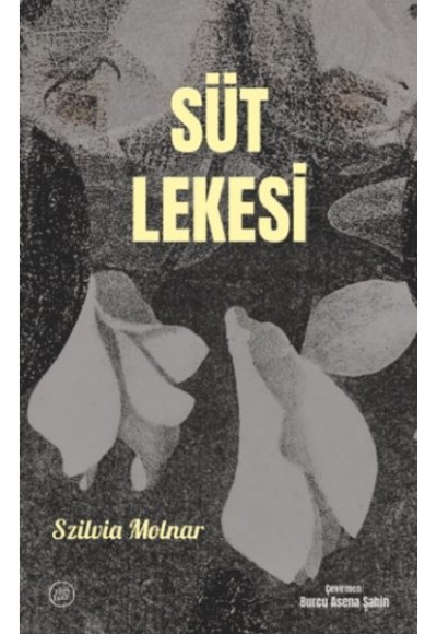 Süt Lekesi