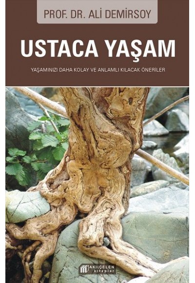 Ustaca Yaşam