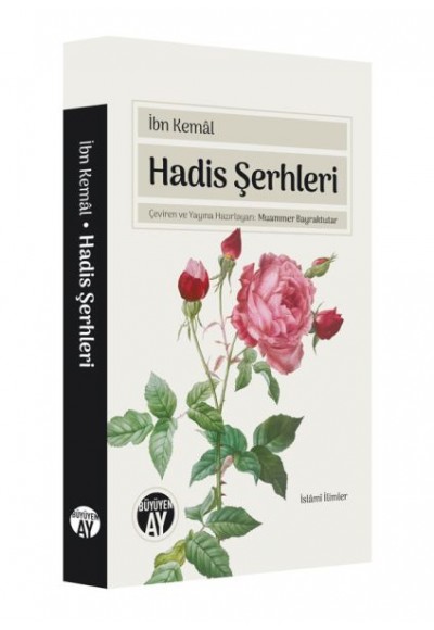 Hadis Şerhleri