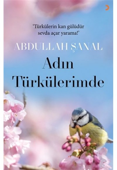 Adın Türkülerimde