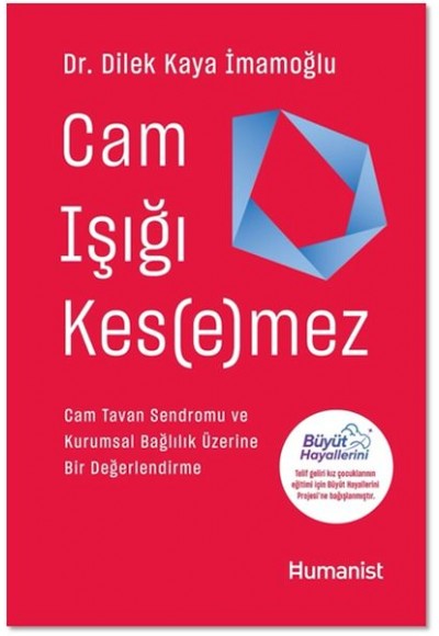 Cam Işığı Kesemez