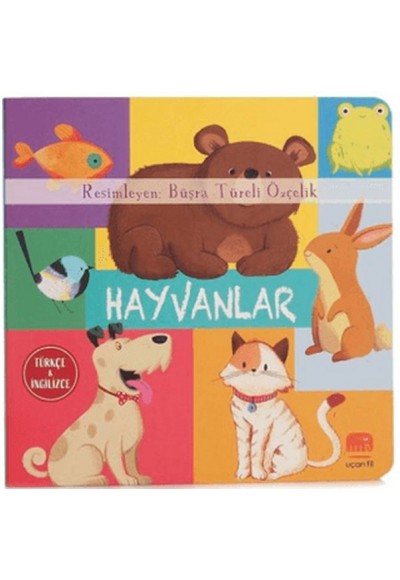 Hayvanlar