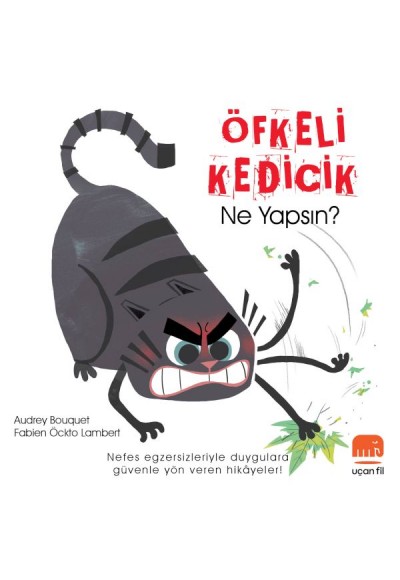 Öfkeli Kedicik Ne Yapsın?