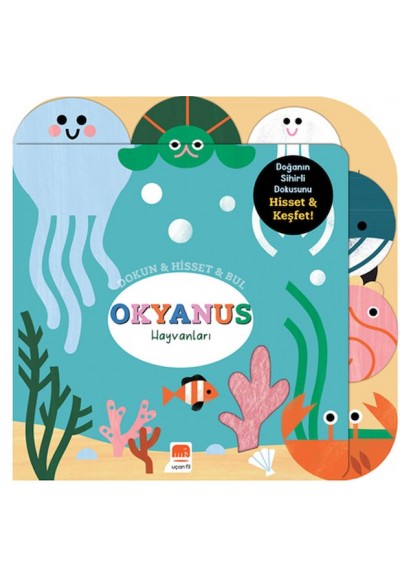Dokun & Hisset & Bul Okyanus Hayvanları