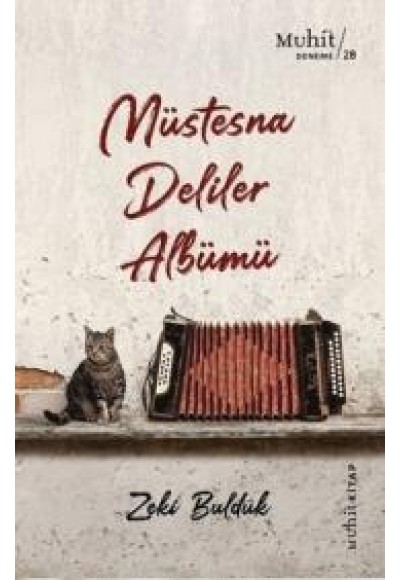 Müstesna Deliler Albümü
