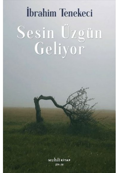 Sesin Üzgün Geliyor