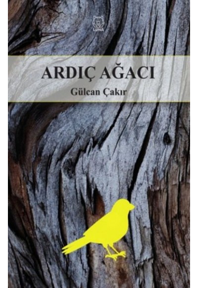 Ardıç Ağacı