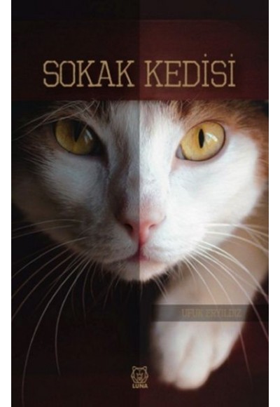 Sokak Kedisi