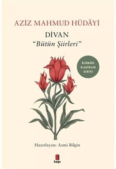 Divan - Bütün Şiirleri