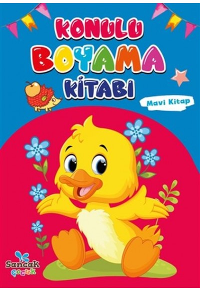 Konulu Boyama Kitabı - Mavi Kitap