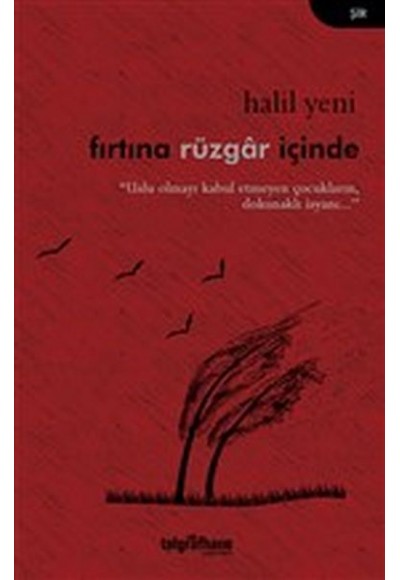Fırtına Rüzgar İçinde