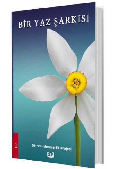 Bir Yaz Şarkısı
