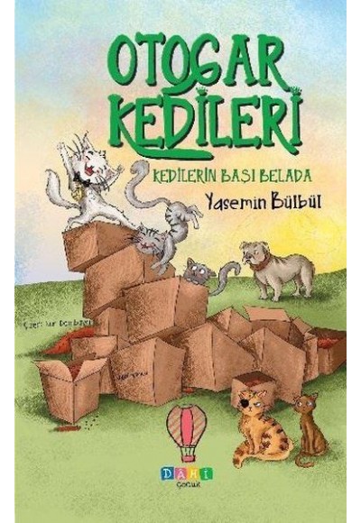Kedilerin Başı Belada - Otogar Kedileri 2