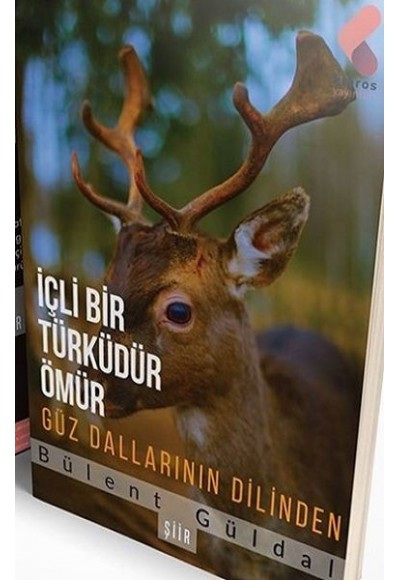 İçli Bir Türküdür Ömür Güz Dallarının Dilinden