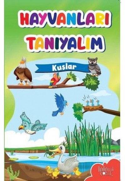 Muhteşem Çizimler ve Kolay Anlatım ile Hayvanları Tanıyalım Kuşlar