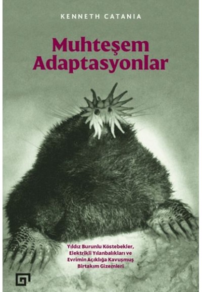 Muhteşem Adaptasyonlar