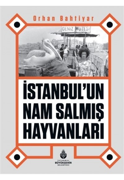 İstanbul’un Nam Salmış Hayvanları