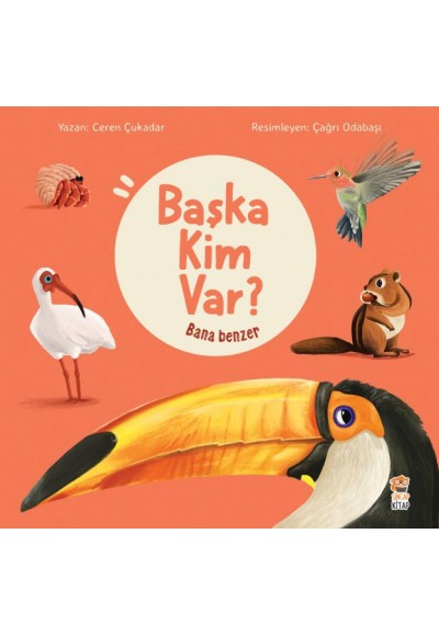 Bana Benzer - Başka Kim Var