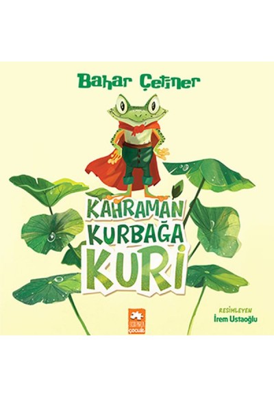 Kahraman Kurbağa Kuri