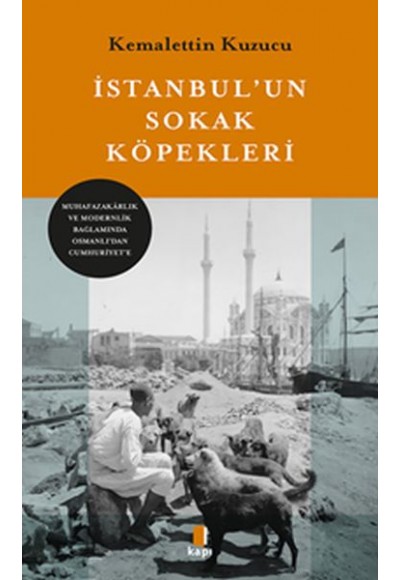 İstanbul’un Sokak Köpekleri