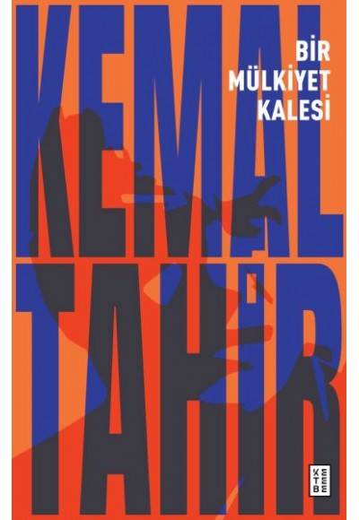 Bir Mülkiyet Kalesi
