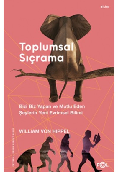 Toplumsal Sıçrama