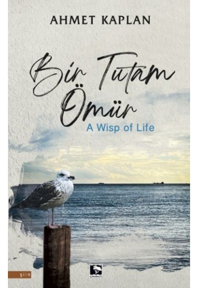 Bir Tutam Ömür