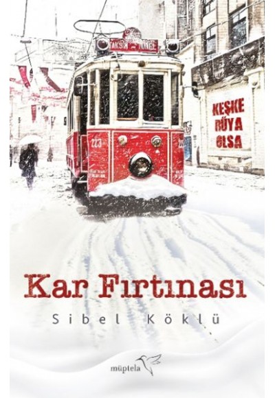 Kar Fırtınası