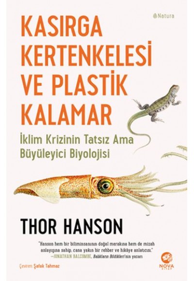 Kasırga Kertenkelesi ve Plastik Kalamar