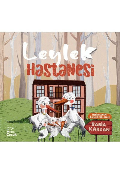 Leylek Hastanesi