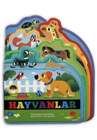 Bul Bakalım Hayvanlar