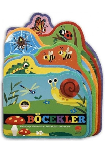 Bul Bakalım Böcekler